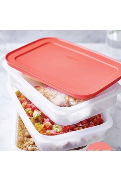 Tupperware Pembe Alaska Serisi 3 Katlı Derin Dondurucu Saklama Kabı-yeni Ürün