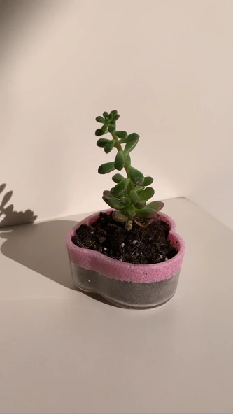 Altı Kısmı Şeffaf Üst Kısmı Pembe Taş Süslemeli Kalp Şekil Epoksi Sukulent Saksı El Yapımı Hediyelik - 4