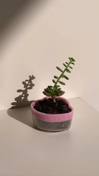 Altı Kısmı Şeffaf Üst Kısmı Pembe Taş Süslemeli Kalp Şekil Epoksi Sukulent Saksı El Yapımı Hediyelik - 5