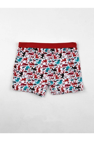 Gümüş Kız Çocuk Desenli Likralı Boxer 3072 - 6 Adet  Karışık Renk 3 (5-6 YAŞ) - Resim 5