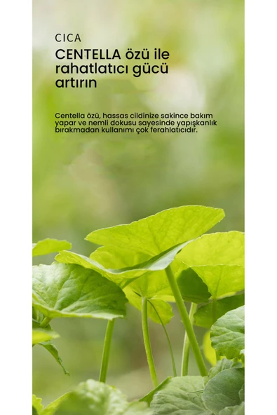 NEXTBEAU,Kore Kozmetik Akne Karşıtı Aydınlatıcı Cica Güneş Kremi Spf 50 Pa - 6