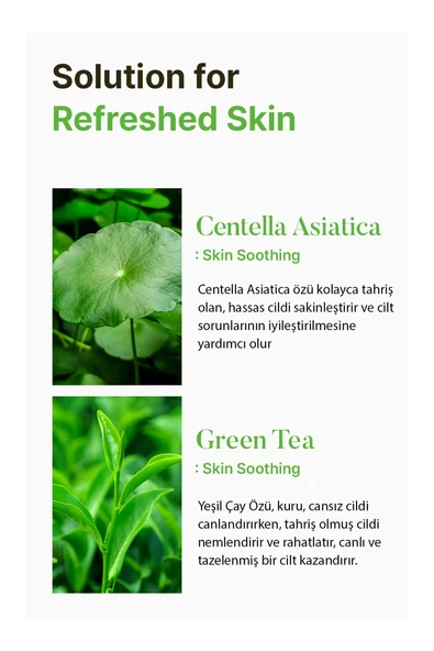 SKIN627,Kore Kozmetik Akneli Ciltler Için Cica Ve Yeşil Çay Içeren Krem - 3