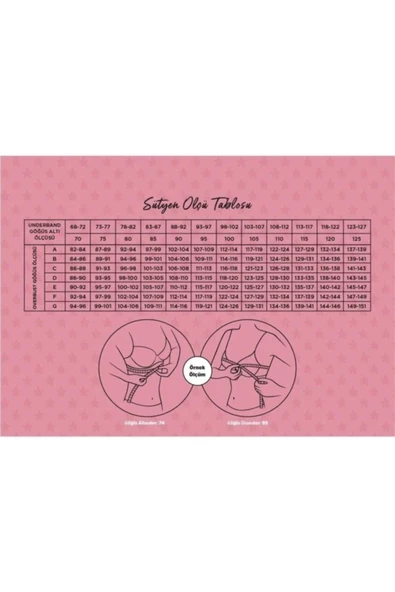 Le Jardin Kadın 2 Beden Büyüten Destekli Dolgulu Sihirli Sütyen 7034 - 2 Adet  Ten 85B - Resim 4