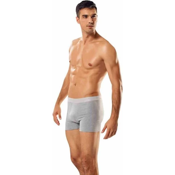 3 Adet Namaldı 128 Licralı Erkek Boxer  XL Gri