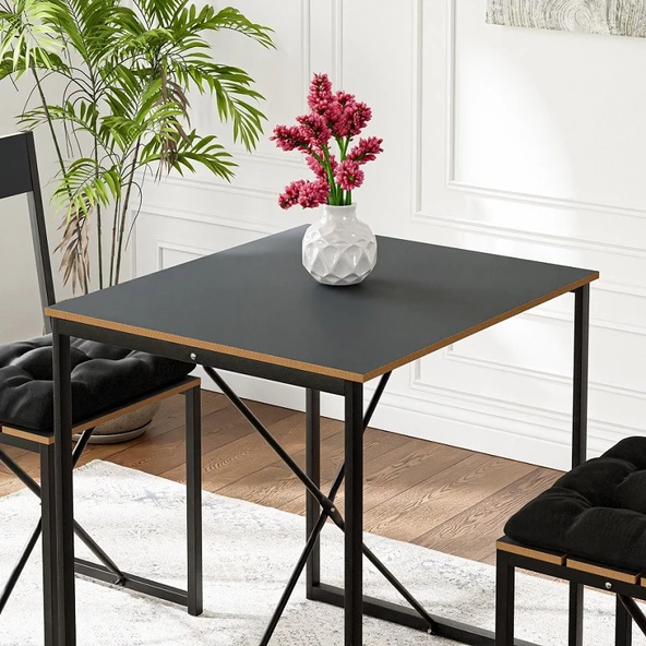 Eportatif Mutfak Masası Minderli 2 Kişilik Balkon Masa Takımı Füme 1494 - Resim 4