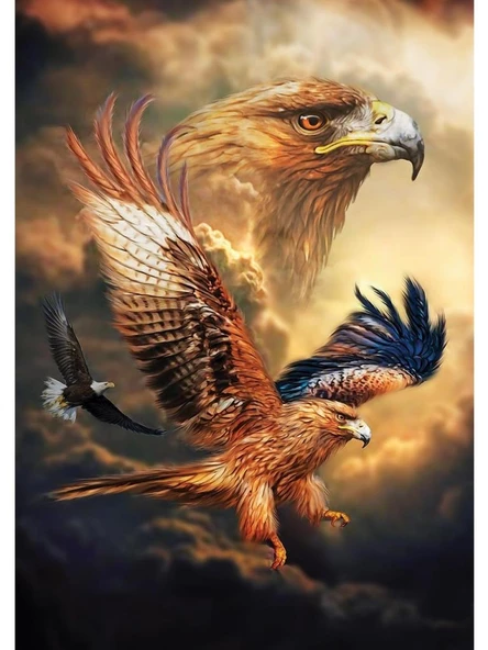 Art Puzzle Kartal Gökyüzü - 1000 Parça 5272 - 2
