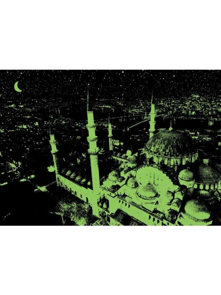 Art Puzzle Sultan Ahmed Camii - 1000 Parça Neon 5264 - 3