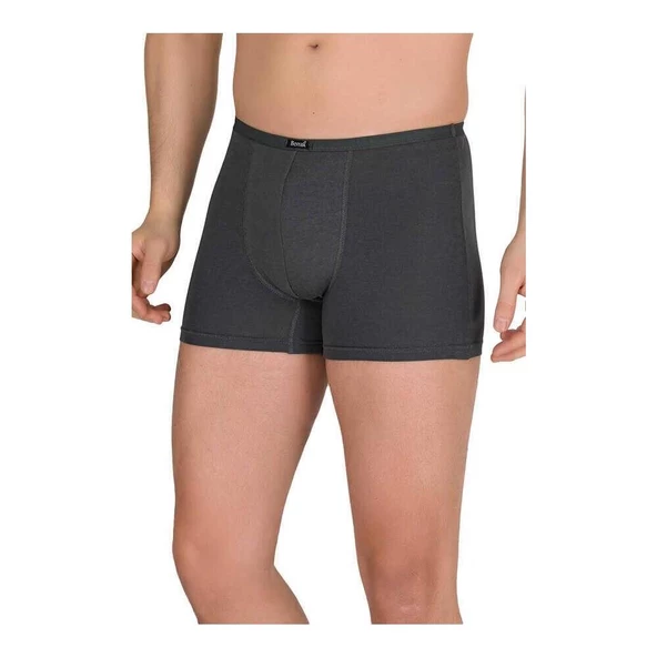 Berrak 4488 Erkek Modal İnce Kemer Boxer 3'Lü   L Füme
