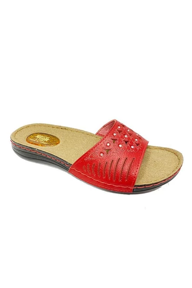 Carlaverde 5704-22 Anatomik Fashıon Kadın Terlik - 10