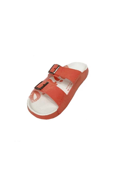 Witta 52501-2 Anatomik Taban Fashion Kadın Terlik - 11