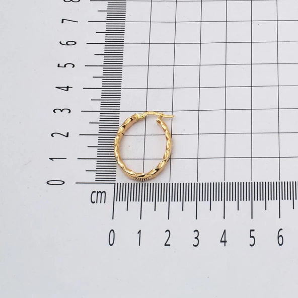 Burgulu Oval 14 Ayar Halka Küpe 3cm. - 5