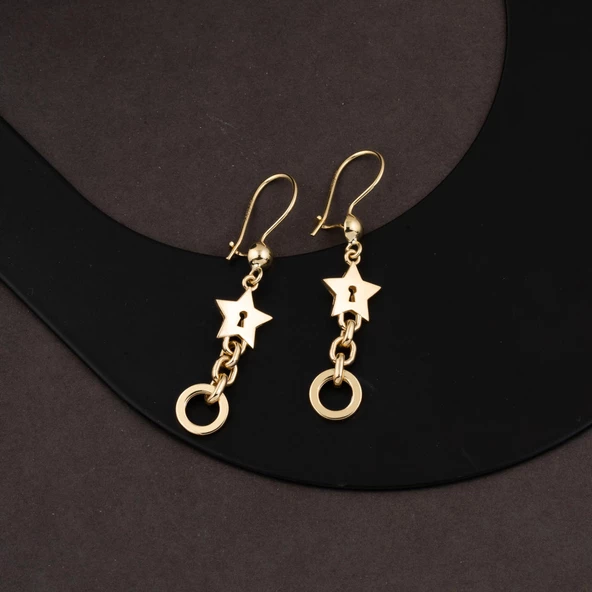 Yıldızlı Halkalı Sallantılı Küpe 14 Ayar - Resim 2