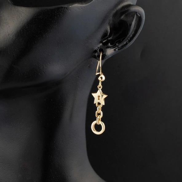 Yıldızlı Halkalı Sallantılı Küpe 14 Ayar - Resim 4