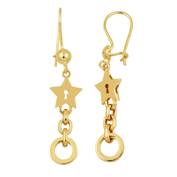 Yıldızlı Halkalı Sallantılı Küpe 14 Ayar ürün görseli 1