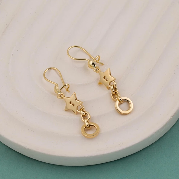 Yıldızlı Halkalı Sallantılı Küpe 14 Ayar - Resim 3