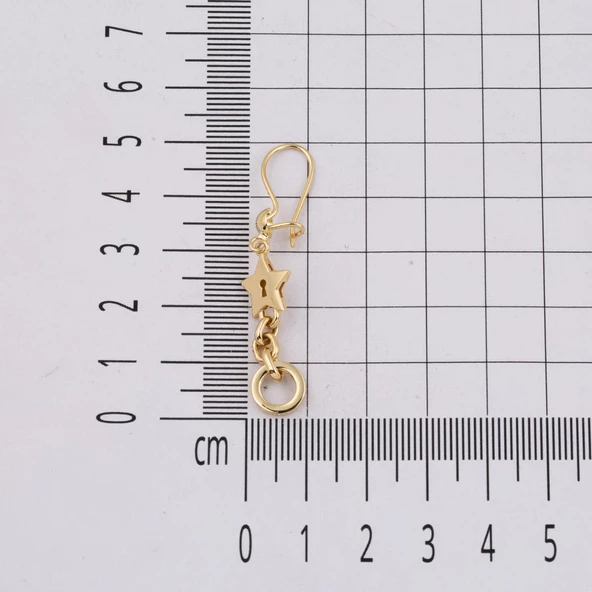 Yıldızlı Halkalı Sallantılı Küpe 14 Ayar - Resim 5