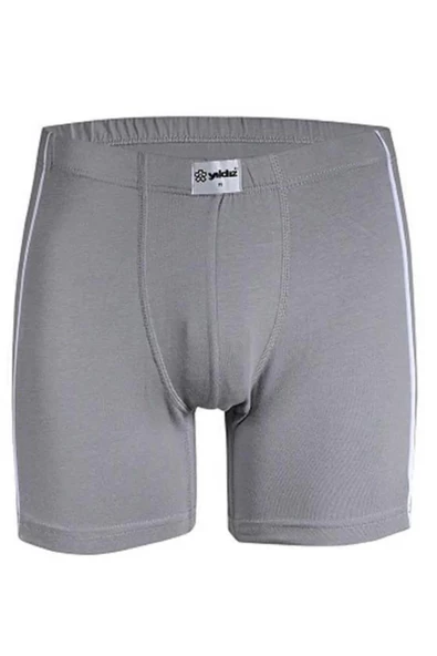 Yıldız Erkek Biyeli Modal Likralı Boxer 105 - 3 Adet  XL Gri