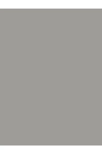 BİANCA STELLA VİZON GRİ 1 LT - 2