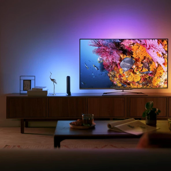 Philips Hue Play - 4