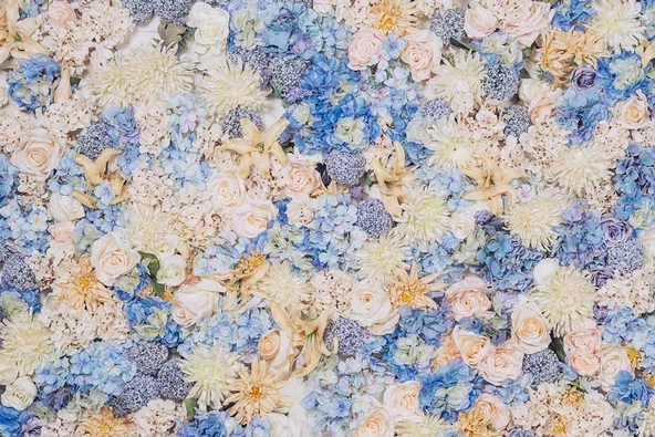 Beyaz Mavi Çiçek Desenli Duvar Kağıdı - Resim 7