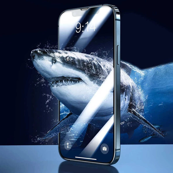Apple iPhone 13 Pro Max - Ekran Koruyucu Davin Seramik Koruma - 7