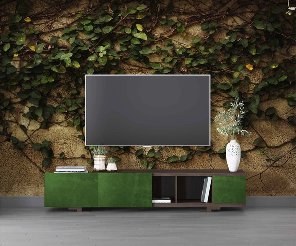 Sarmaşık ve Duvar Temalı Duvar Kağıdı - Resim 3