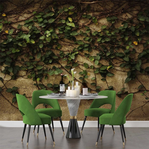 Sarmaşık ve Duvar Temalı Duvar Kağıdı - Resim 5