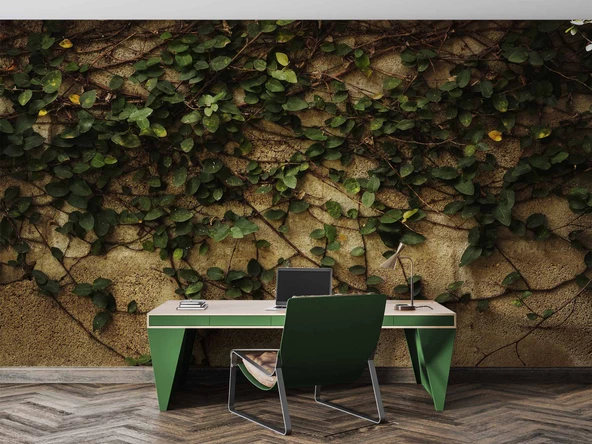 Sarmaşık ve Duvar Temalı Duvar Kağıdı - Resim 4