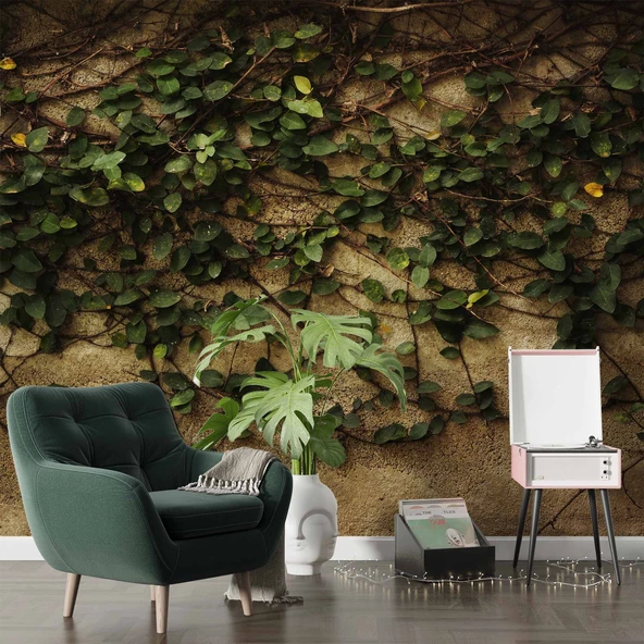 Sarmaşık ve Duvar Temalı Duvar Kağıdı - Resim 6