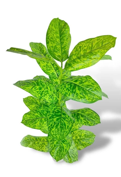 Nettenevime Yapay Çiçek Difenbahya Tropik Sarı Benekli 80cm 23 Yapraklı Salon Çiçeği Beyaz Saksılı Yapay Bitki - Resim 7