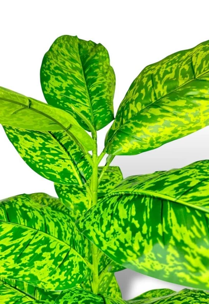 Nettenevime Yapay Çiçek Difenbahya Tropik Sarı Benekli 80cm 23 Yapraklı Salon Çiçeği Beyaz Saksılı Yapay Bitki - Resim 6