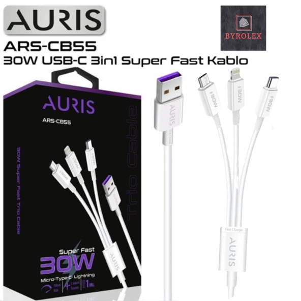 AURIS 30W USB / LİGHTİNG + MİCRO + TYPE-C  KABLO