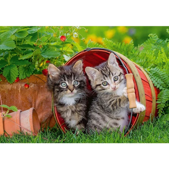 Ravensburger 2 Adet 12 Parçalı Puzzle Yavru Kediler Ravensburger 3 Yaş ve Üzeri Çocuk Yapbozları Serisi - 3