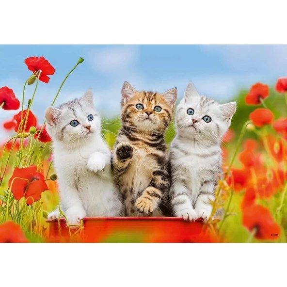 Ravensburger 2 Adet 12 Parçalı Puzzle Yavru Kediler Ravensburger 3 Yaş ve Üzeri Çocuk Yapbozları Serisi - 2