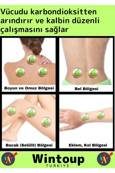 Özel Üretim Yüksek Kaliteli Selülit Çatlak Giderici Vakumlu 6 Numara Hacamat Kupası 100 Adet - 2