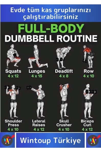 Premium Plastik Spor Egzersiz Fitness Vücut Geliştirme Pilates Ağırlık 4 Kg Dambıl Seti 2 Ad Dumbell - 2