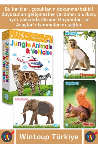 Premium Eğitici Görsel Algı Zeka Eğlenceli Öğrenme Orman Hayvanları Ve Araçlar Eğitim Kartları - Resim 2