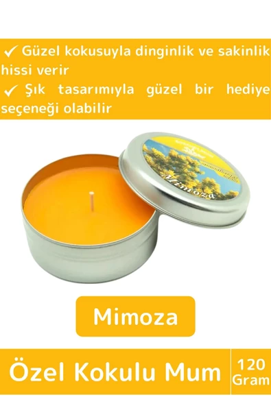 Premium Özel Metal Kutulu Arınma Huzur Meditasyon Yoga Esans Dekoratif Mum Oda Kokusu 120 Gram