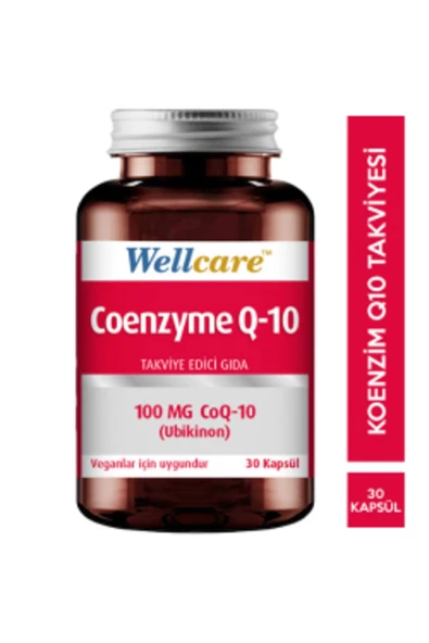 WELLCARE STD Wellcare Coenzyme Q10 100 mg 30 Kapsül ( TEKLİDİR )