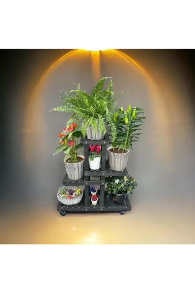 VEHER Ahşap Çam Siyah 4 Katlı Bitki Standı Kilitli Tek. Mini Bahçe Seti My Bead Kokulu Vegan Mum 50 Cc - 3