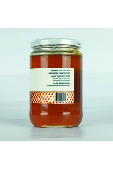 İstanbul Bakkaliyesi   Çam Balı 850 G - 3