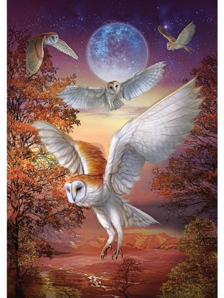 Art Puzzle Ayışığı Baykuşları - 1000 Parça 5273 - 2