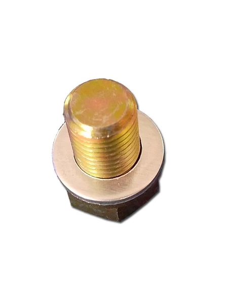 Yağ Tapası 13mm - Büyük Kılavuz - Resim 3