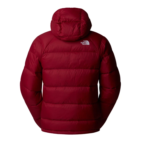 The North Face M Hydrenalite Down Hoodie Erkek Mont - 2