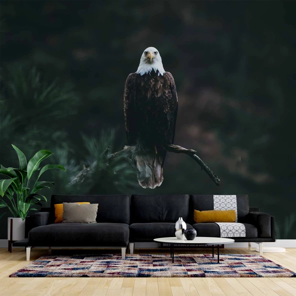 Kartal Temalı Duvar Kağıdı Baskı