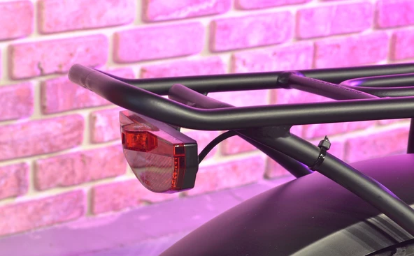 CİTYCOCO Fatbike Mini Katlanabilir Elektrikli Bisiklet 250 Watt - 11