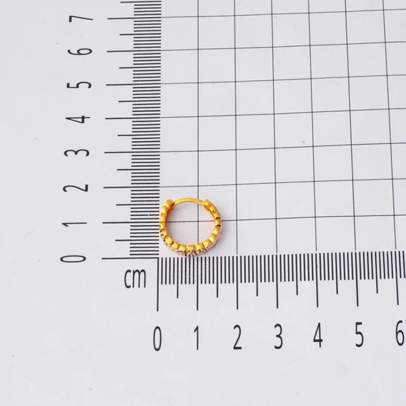 Başak Model Spor 14 Ayar Halka Altın Küpe - Resim 5