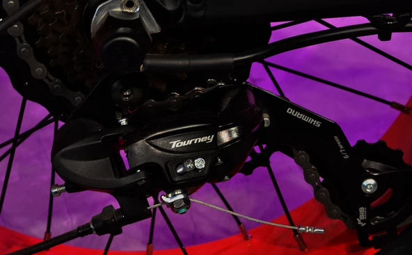 CİTYCOCO Fatbike Mini Katlanabilir Elektrikli Bisiklet 250 Watt - 8