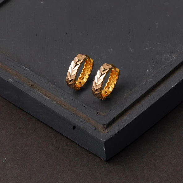 Başak Model Spor 14 Ayar Halka Altın Küpe - Resim 4