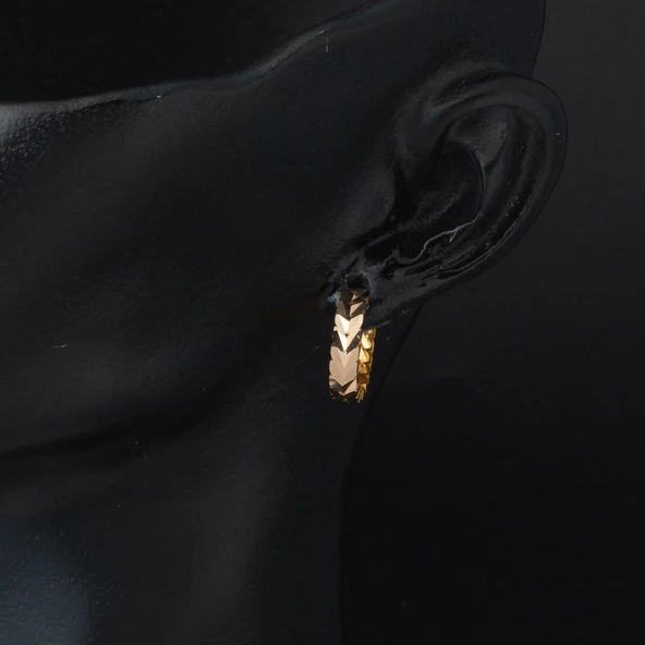 Başak Model Spor 14 Ayar Halka Altın Küpe - Resim 2